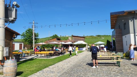 Activitățile GAL Colinele Recaș
